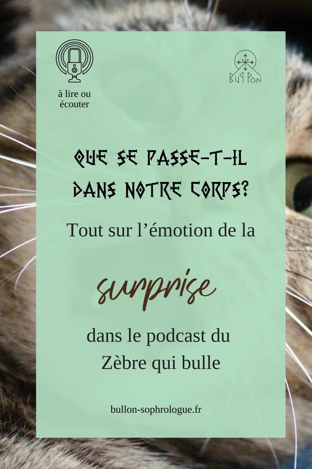 que se passe-t-il dans notre corps? Tout sur l’émotion de la surprise dans le podcast du  Zèbre qui bulle